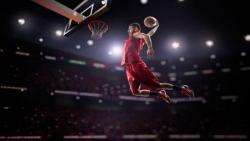 sportbetting Basket online