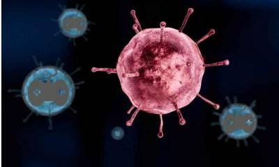 online casino spill under koronapandemien